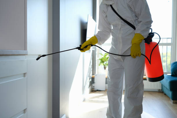 Best Professional Mold Removal  in Gary, IN