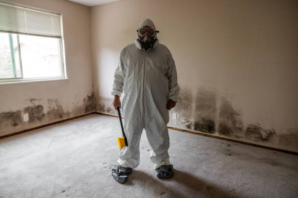 Mold Removal and Inspection in Gary, IN